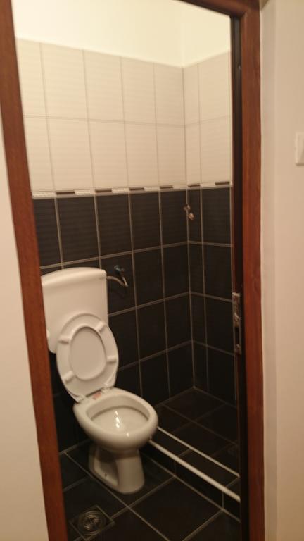 Musical Pansion Radgost, Rtanj Bed & Breakfast Room photo
