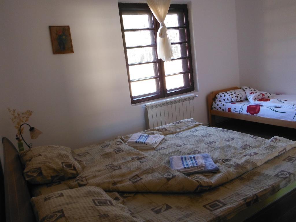 Musical Pansion Radgost, Rtanj Bed & Breakfast Exterior photo