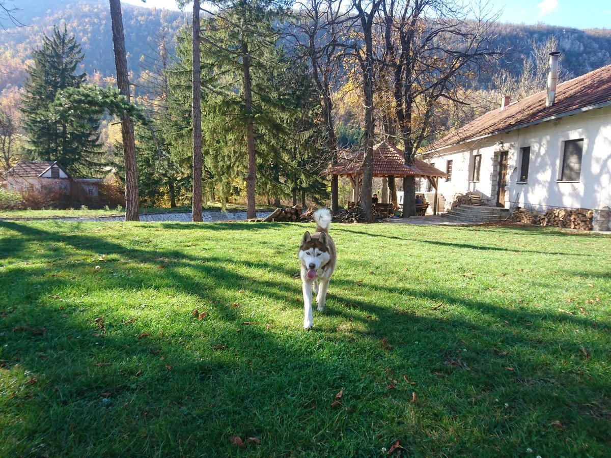 Musical Pansion Radgost, Rtanj Bed & Breakfast Exterior photo
