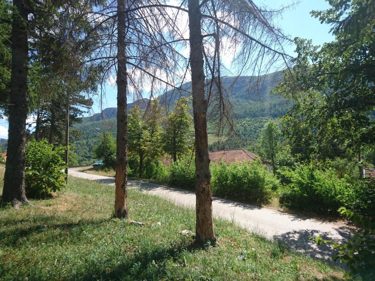 Musical Pansion Radgost, Rtanj Bed & Breakfast Exterior photo